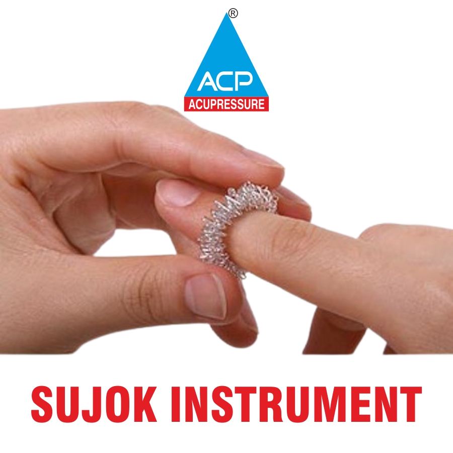 02. SUJOK INSTRUMENT